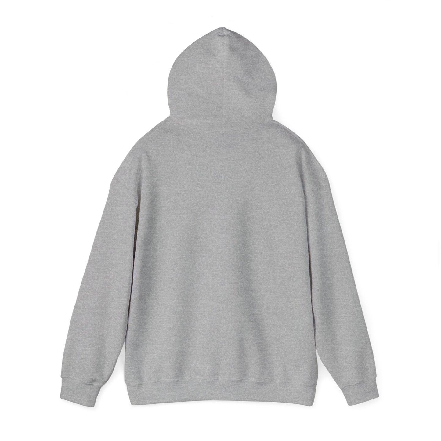 Boca Grande Hooded Sweatshirt